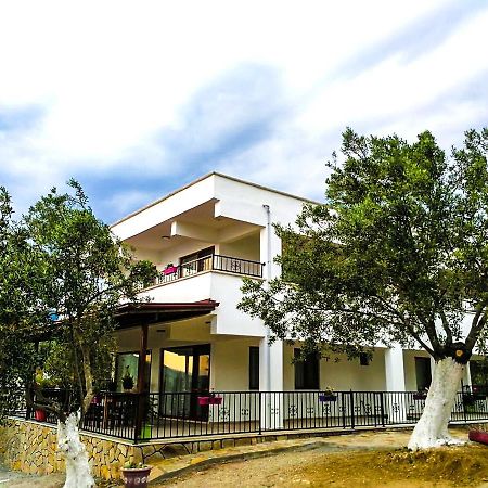 Kaymak Tepesi Tatil Evi Acomodação com café da manhã Küçükkuyu Exterior foto