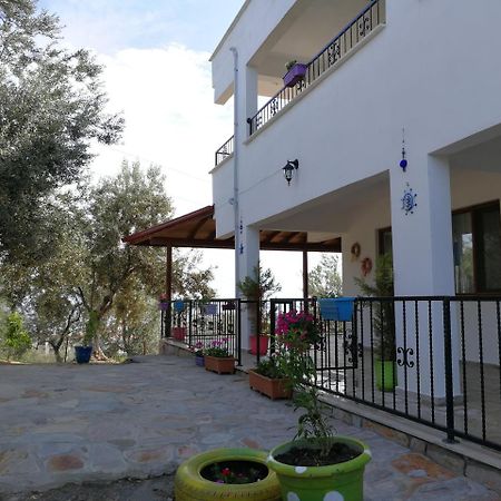 Kaymak Tepesi Tatil Evi Acomodação com café da manhã Küçükkuyu Exterior foto