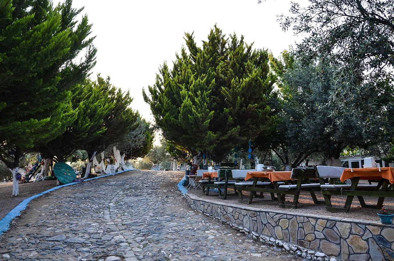 Kaymak Tepesi Tatil Evi Acomodação com café da manhã Küçükkuyu Exterior foto